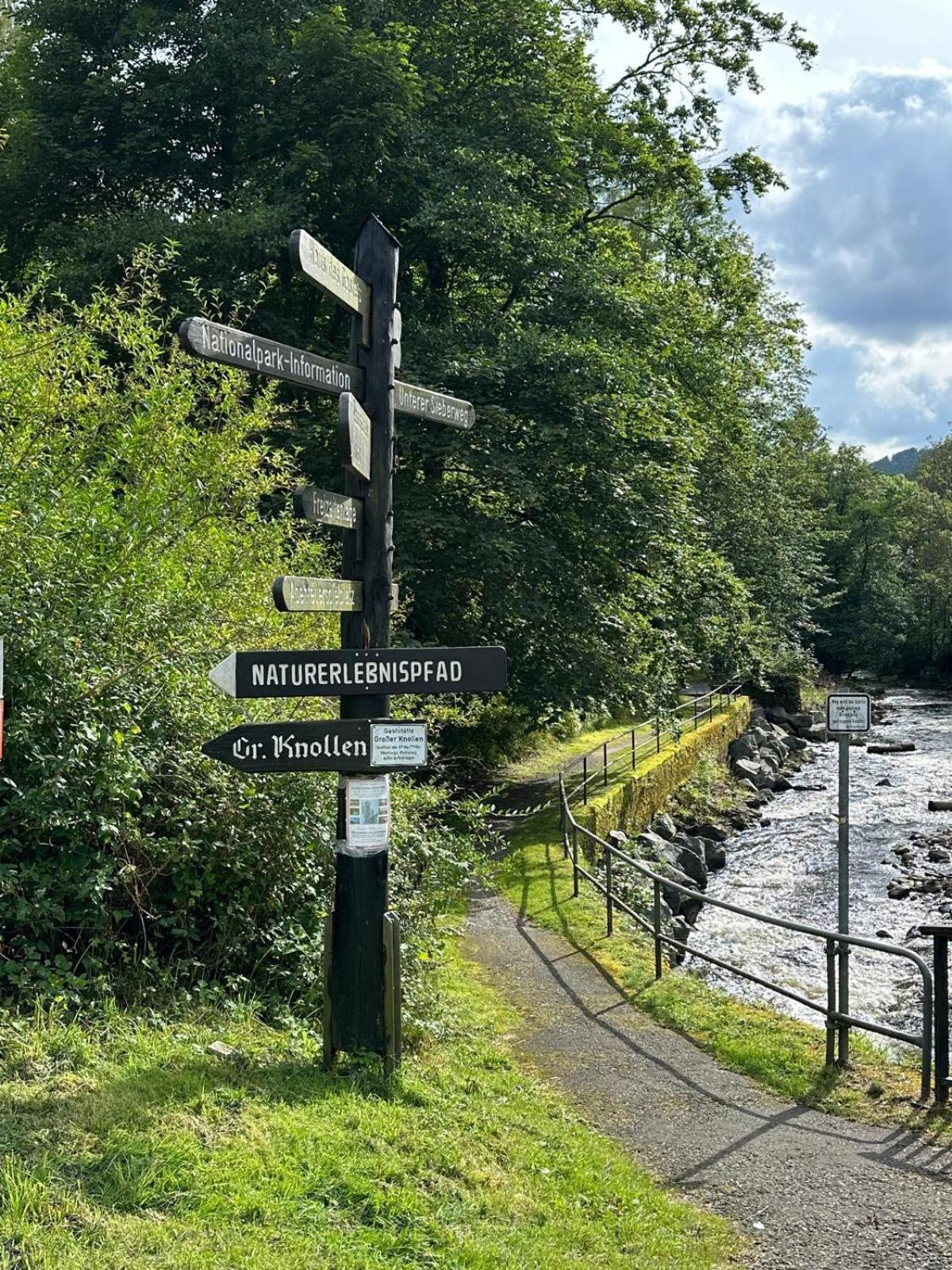 Ferienbutzen Harz Heikenberg, Bad Lauterberg Mit Schwimmbad Und Sauna מראה חיצוני תמונה